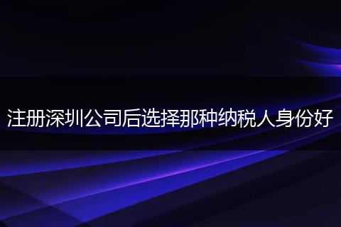 注册深圳公司后选择那种纳税人身份好