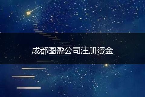 成都图盈公司注册资金