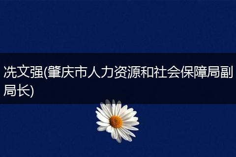 冼文强(肇庆市人力资源和社会保障局副局长)