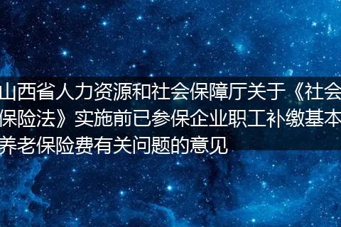 山西省人力资源和社会保障厅关于《社会保险法》实施前已参保企业职工补缴基本养老保险费有关问题的意见
