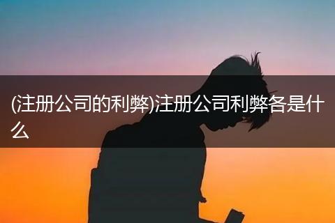 (注册公司的利弊)注册公司利弊各是什么