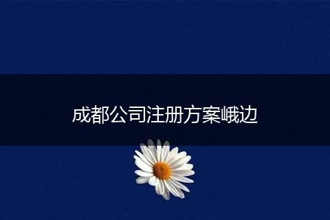 成都公司注册方案峨边