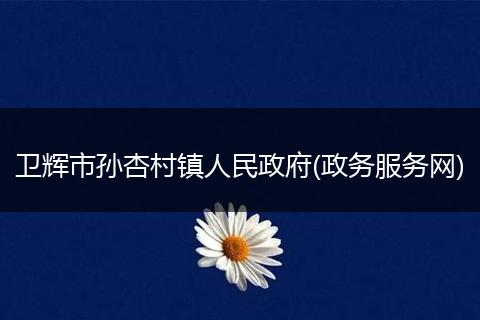 卫辉市孙杏村镇人民政府(政务服务网)