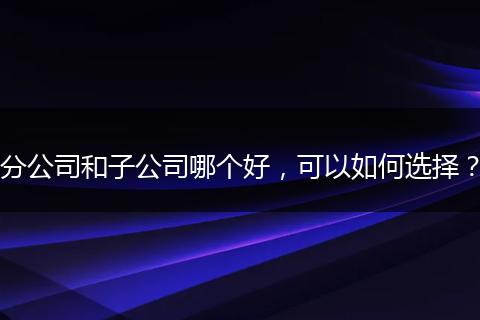 分公司和子公司哪个好，可以如何选择？