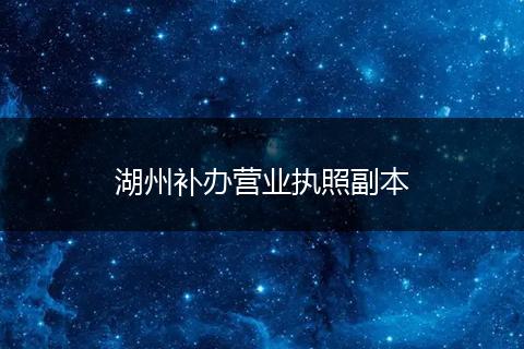 湖州补办营业执照副本