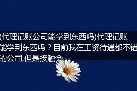 (代理记账公司能学到东西吗)代理记账能学到东西吗？目前我在工资待遇都不错的公司,但是接触会