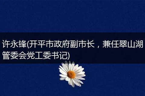 许永锋(开平市政府副市长，兼任翠山湖管委会党工委书记)