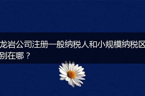 龙岩公司注册一般纳税人和小规模纳税区别在哪?