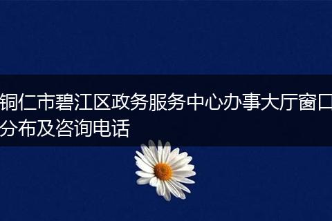 铜仁市碧江区政务服务中心办事大厅窗口分布及咨询电话