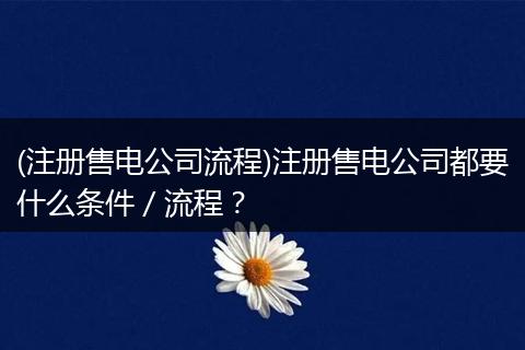 (注册售电公司流程)注册售电公司都要什么条件／流程？