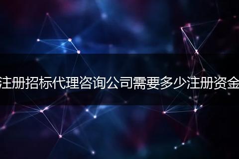 注册招标代理咨询公司需要多少注册资金