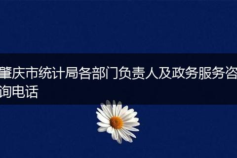 肇庆市统计局各部门负责人及政务服务咨询电话
