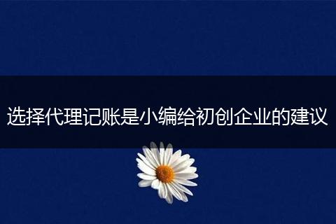 选择代理记账是小编给初创企业的建议