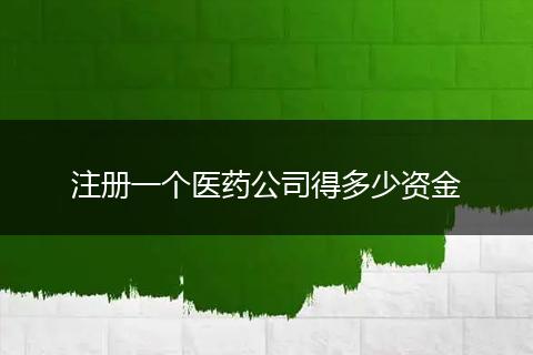 注册一个医药公司得多少资金