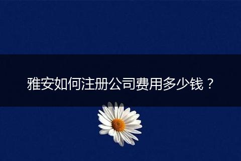 雅安如何注册公司费用多少钱？