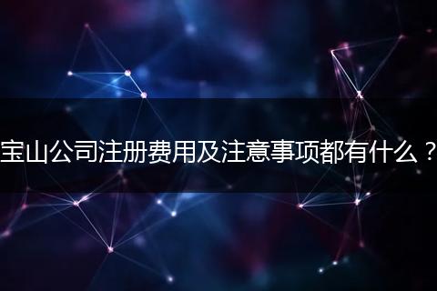 宝山公司注册费用及注意事项都有什么？