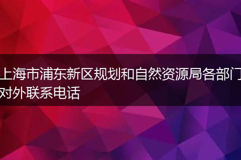 上海市浦东新区规划和自然资源局各部门对外联系电话