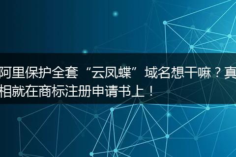阿里保护全套“云凤蝶”域名想干嘛？真相就在商标注册申请书上！