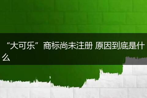 “大可乐”商标尚未注册 原因到底是什么