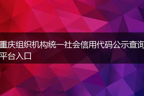 重庆组织机构统一社会信用代码公示查询平台入口