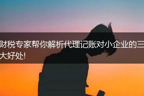 财税专家帮你解析代理记账对小企业的三大好处!