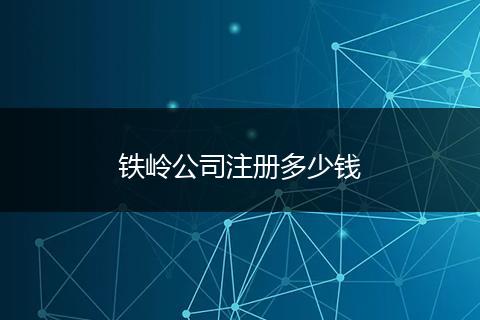 铁岭公司注册多少钱