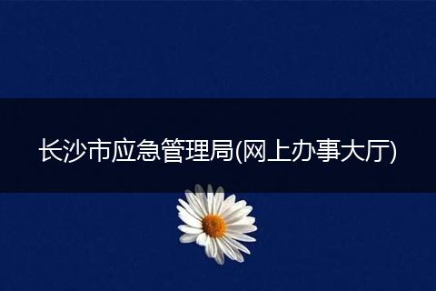 长沙市应急管理局(网上办事大厅)