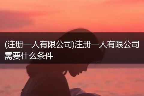 (注册一人有限公司)注册一人有限公司需要什么条件