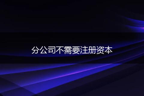 分公司不需要注册资本