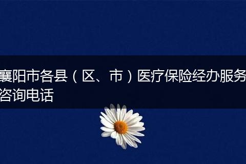 襄阳市各县（区、市）医疗保险经办服务咨询电话