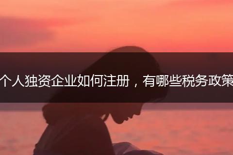 个人独资企业如何注册，有哪些税务政策