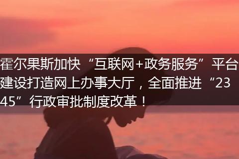 霍尔果斯加快“互联网+政务服务”平台建设打造网上办事大厅，全面推进“2345”行政审批制度改革！