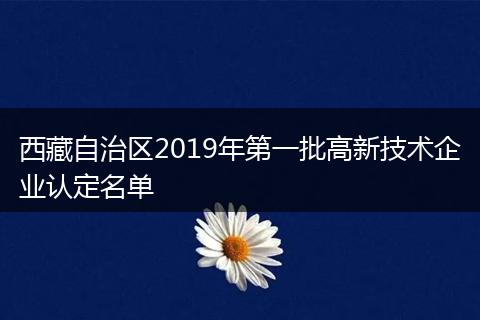 西藏自治区2019年第一批高新技术企业认定名单