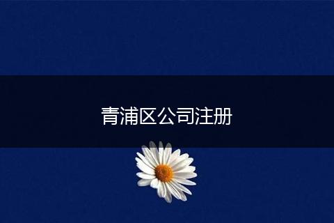 青浦区公司注册