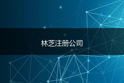 林芝注册公司