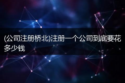 (公司注册桥北)注册一个公司到底要花多少钱