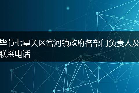 毕节七星关区岔河镇政府各部门负责人及联系电话