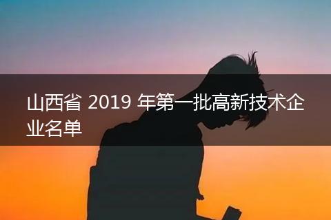 山西省 2019 年第一批高新技术企业名单