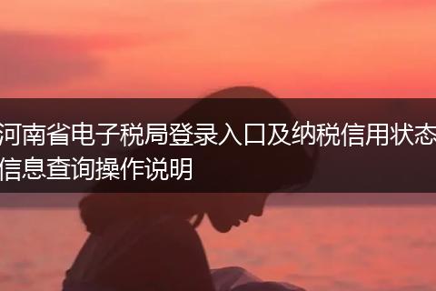 河南省电子税局登录入口及纳税信用状态信息查询操作说明