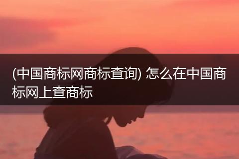(中国商标网商标查询) 怎么在中国商标网上查商标