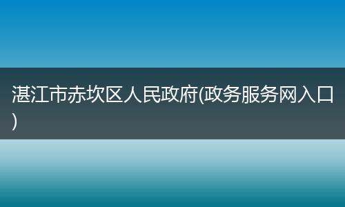 湛江市赤坎区人民政府(政务服务网入口)