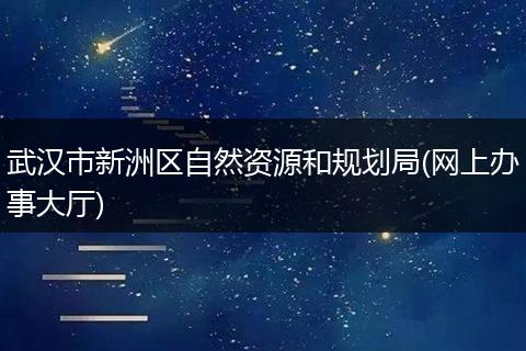武汉市新洲区自然资源和规划局(网上办事大厅)
