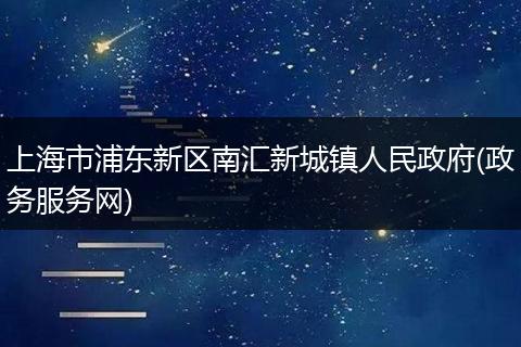 上海市浦东新区南汇新城镇人民政府(政务服务网)