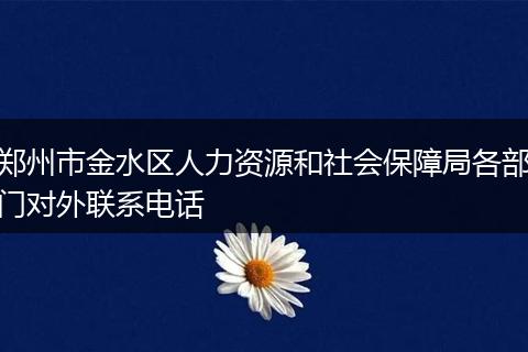 郑州市金水区人力资源和社会保障局各部门对外联系电话