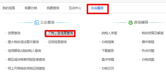 湖南省电子税务局公众公告操作说明