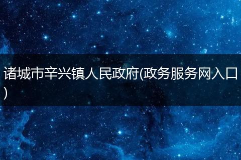 诸城市辛兴镇人民政府(政务服务网入口)