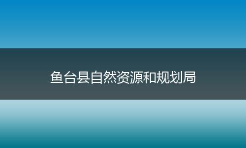 鱼台县自然资源和规划局