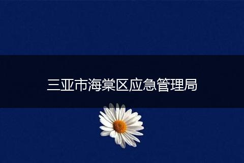 三亚市海棠区应急管理局