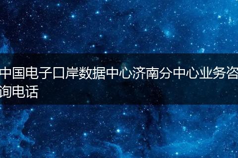 中国电子口岸数据中心济南分中心业务咨询电话