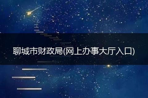 聊城市财政局(网上办事大厅入口)
